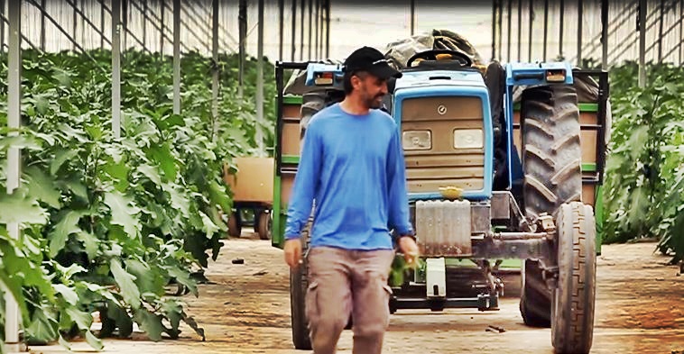 agricultor israelí