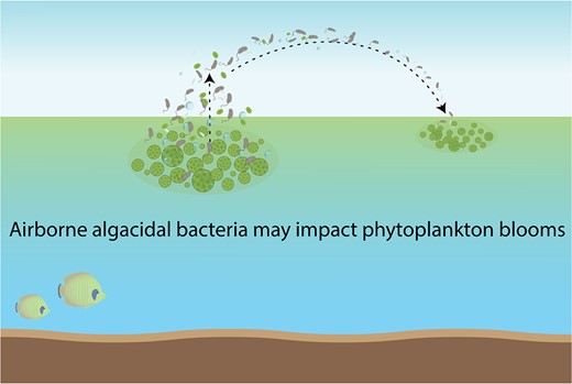 viajan las bacterias